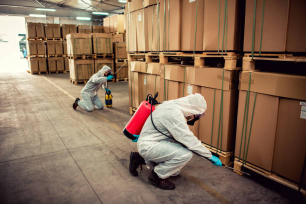 Best Exterminator Services  in Exmore, VA