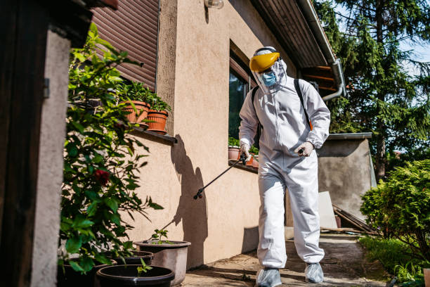 Bird Control in Exmore, VA