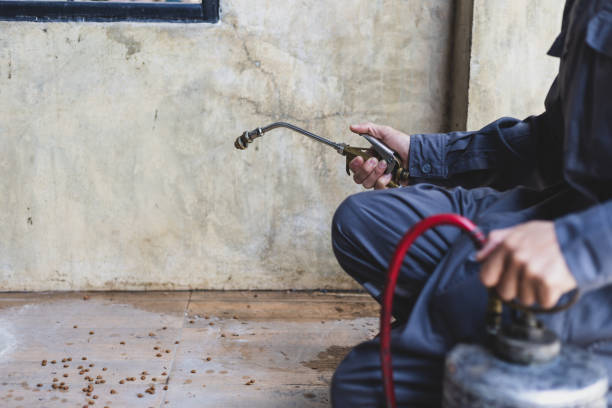 Best Exterminator Services  in Exmore, VA
